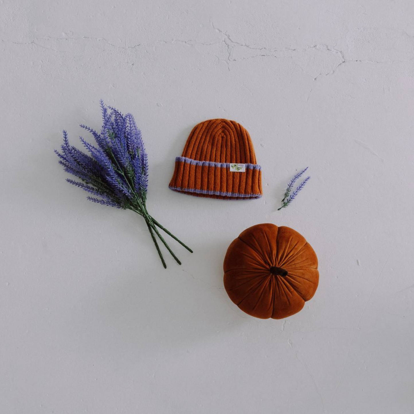 Pumpkin Spice Pie Ribbed Beanie Hat