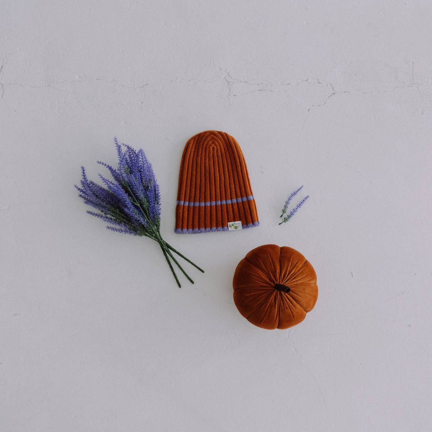 Pumpkin Spice Pie Ribbed Beanie Hat