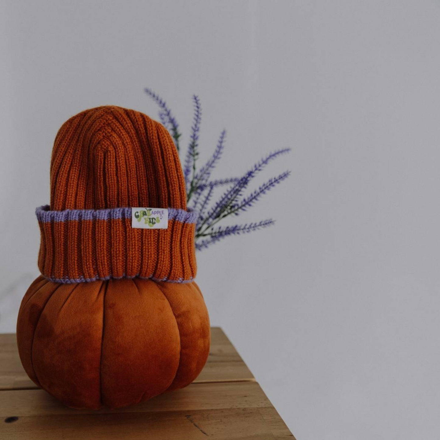 Pumpkin Spice Pie Ribbed Beanie Hat